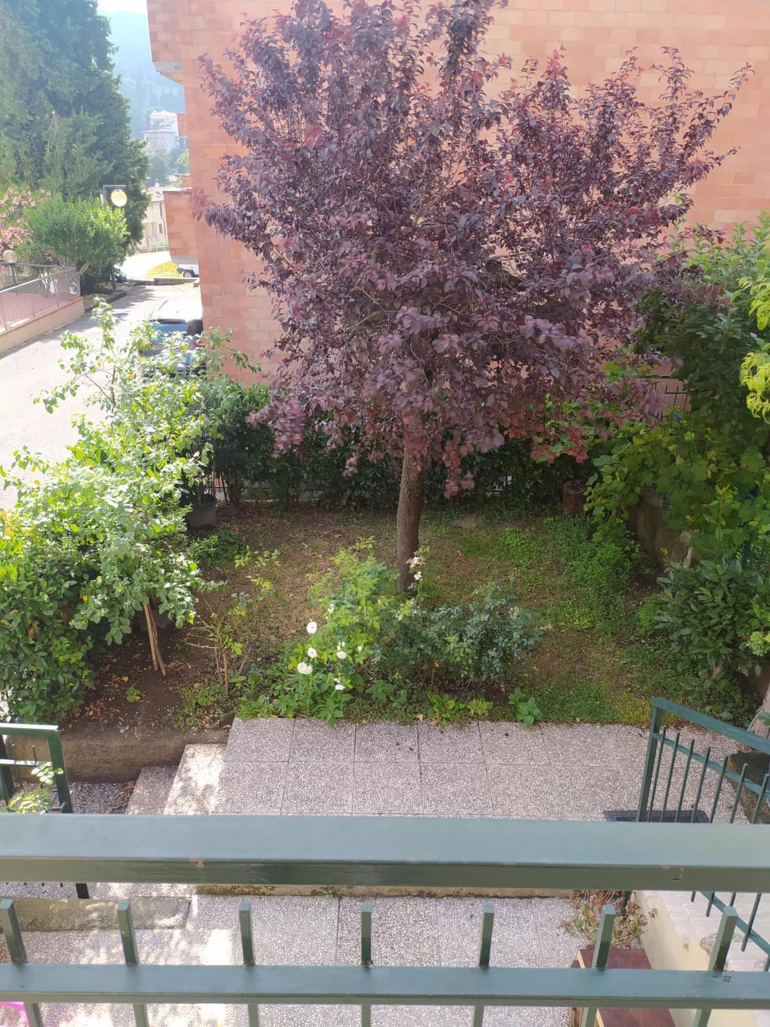 Villa Casa Paola Cetona Exterior foto